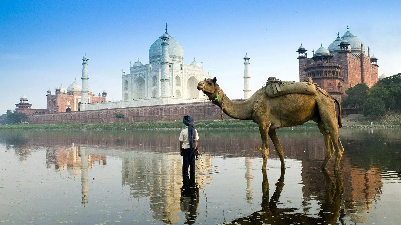 Travel Experience